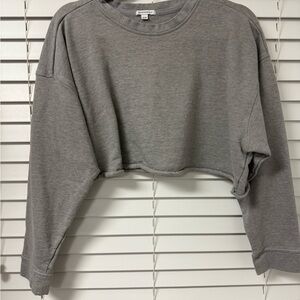 Gray Cropped Sweatshirt